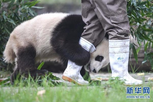 原神卢皮卡的含义是