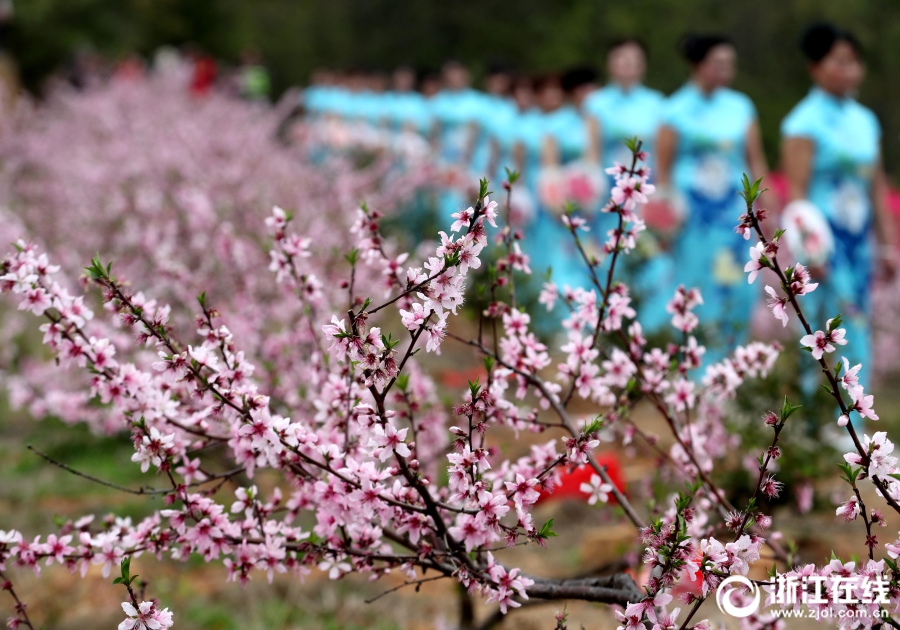 Valheim野生蜂巢在什么地方