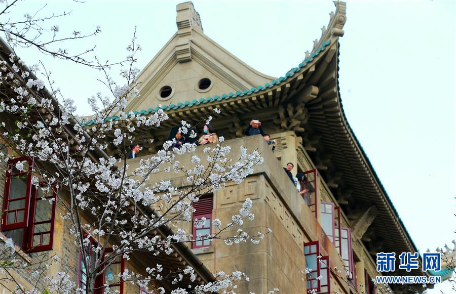 侠之道第三年主角实力怎么样